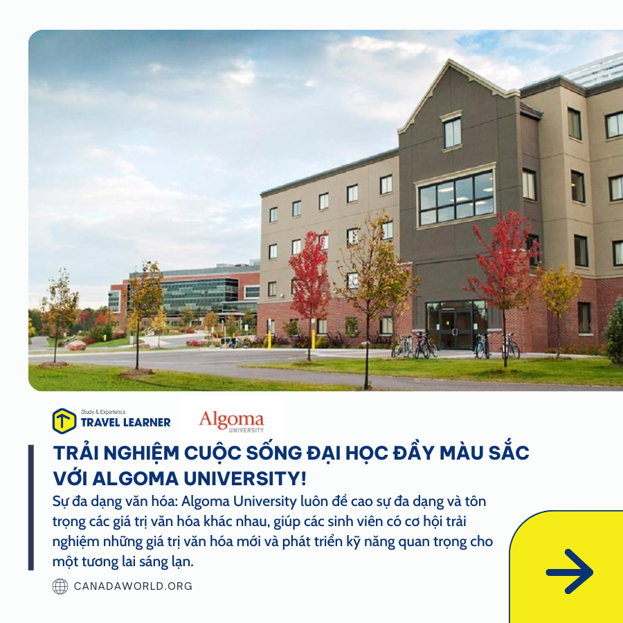 Khám phá Algoma University - Nền tảng giáo dục với nhiều cơ hội