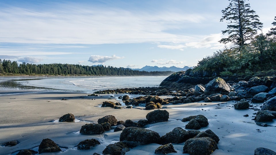 Tofino, British Columbia - Khám phá bãi biển hoang sơ và khung cảnh thiên nhiên đẹp mắt